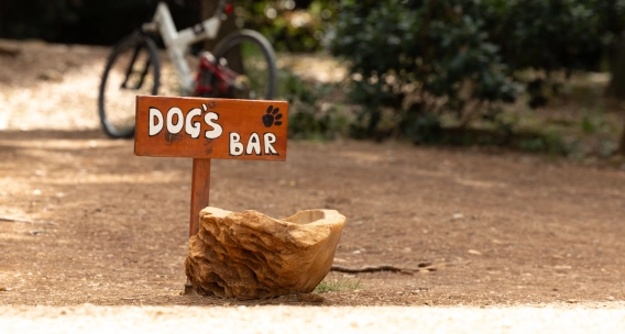 Pet-Friendly Spot on the Rovinj Coast