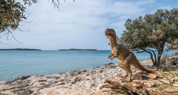 Brijuni – Paradise Archipelago of Untouched Nature and Rich History