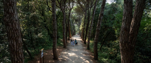 Paradiso Beach – Where Exploratory Adventure Meets Istrian Tradition