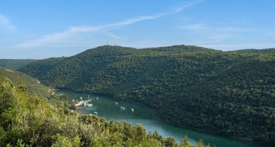 Best Excursions from Rovinj: Brijuni, Lim Fjord, and Hidden Spots – a Perfect Relaxation Suggestion After Returning to Paradiso