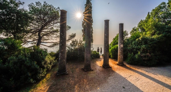 Walks through the Zlatni Rt Forest and What You Can See Along the Way – from Flora and Fauna to Small Natural Phenomena