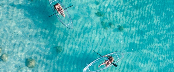 Glide Through Crystal Waters