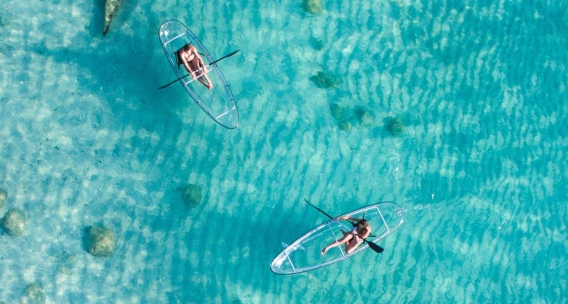 Glide Through Crystal Waters