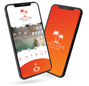 Paradiso Beach Mobile App